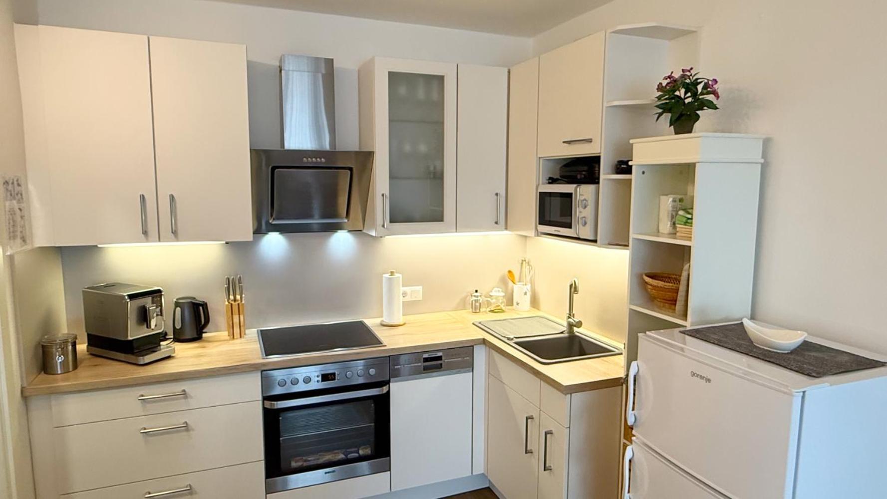 Komfortables Appartement/Garconniere In Graz Fuer Urlaub Und Geschaeftsreisen Kültér fotó